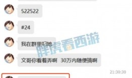 深圳文哥最新的爆料,揭秘行业最新动态与内幕